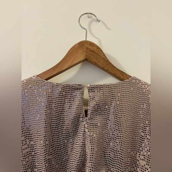 Champaign Sequin Long sleeved Dress (Size Small) - Picture 5 of 7